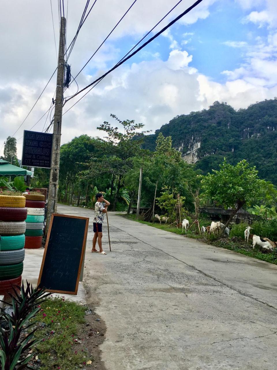 An Ngoc Tam Coc